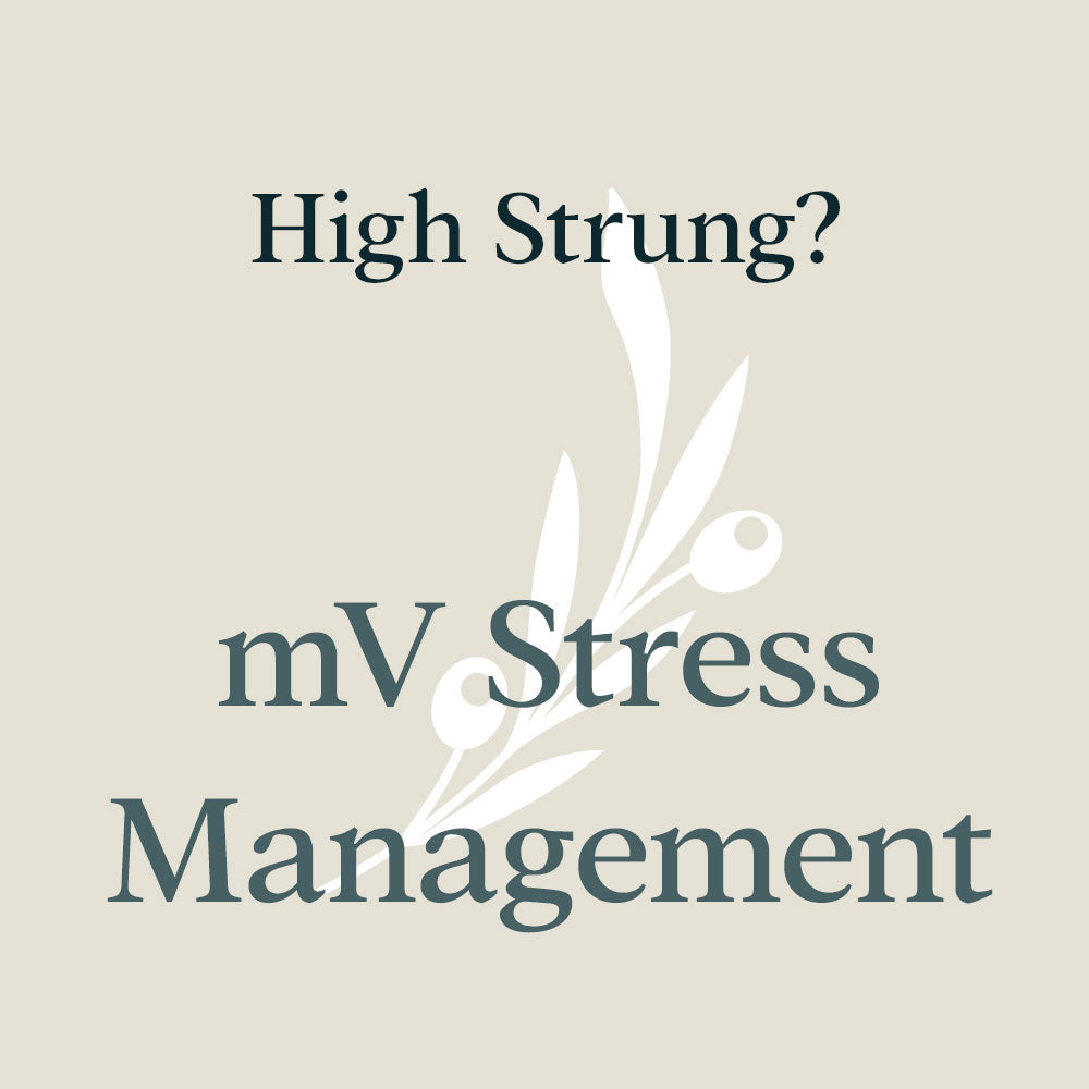 mV Stress Management