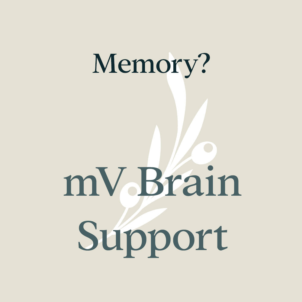 mV Brain Support