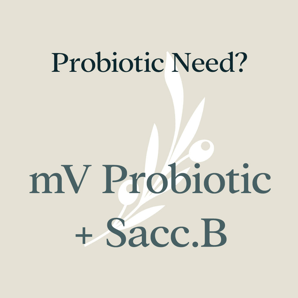 mV Probiotic + Sacc.B